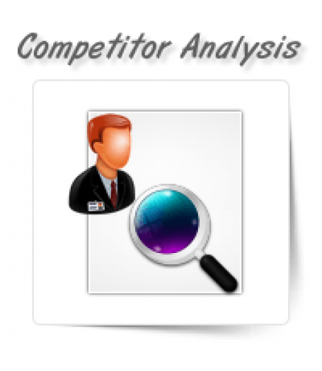 Competitor Analysis Experts